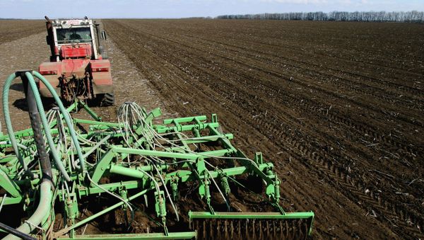 Barley sowing in Zernogradsky District - Sputnik International