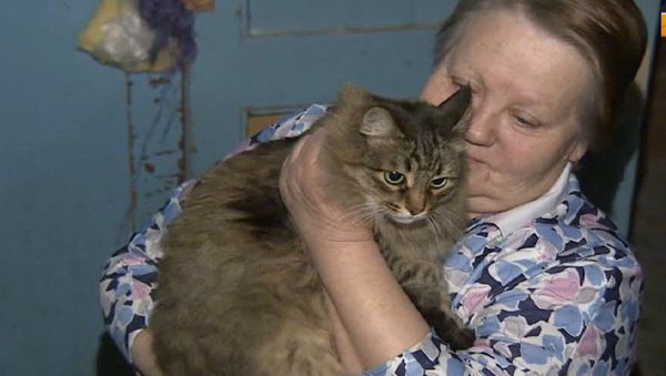 A cat living in an apartment block stairwell came to international attention after helping to save the life of an abandoned baby. - Sputnik International