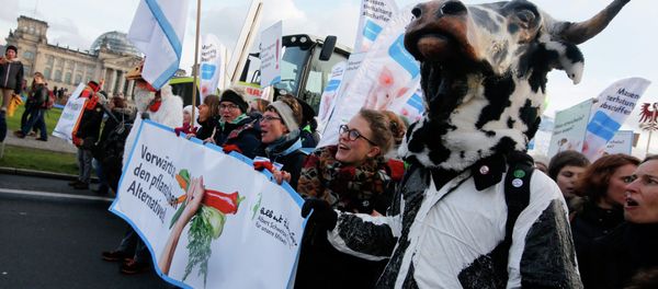 Demonstrators hold banners as they take part in a German farmers and consumer rights activists march to protest against the Transatlantic Trade and Investment Partnership (TTIP), mass husbandry and genetic engineering in Berlin, January 17, 2015 Demonstrators hold banners as they take part in a German farmers and consumer rights activists march to protest against the Transatlantic Trade and Investment Partnership (TTIP), mass husbandry and genetic engineering in Berlin, January 17, 2015 - Sputnik International