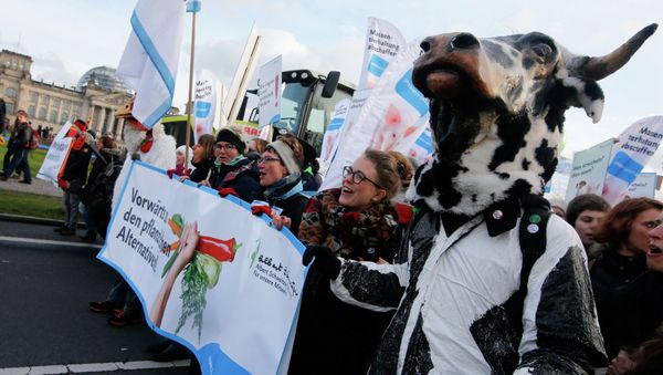 Demonstrators hold banners as they take part in a German farmers and consumer rights activists march to protest against the Transatlantic Trade and Investment Partnership (TTIP), mass husbandry and genetic engineering in Berlin, January 17, 2015 Demonstrators hold banners as they take part in a German farmers and consumer rights activists march to protest against the Transatlantic Trade and Investment Partnership (TTIP), mass husbandry and genetic engineering in Berlin, January 17, 2015 - Sputnik International