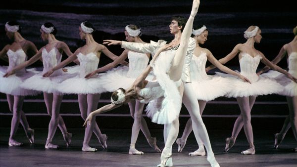 A scene from the Swan Lake opera. The gala concert dedicated to the 225th anniversary of the State Academic Bolshoi Theatre of Russia. - Sputnik International