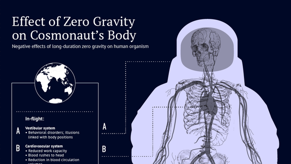 What Happens to Your Body in Space - Sputnik International