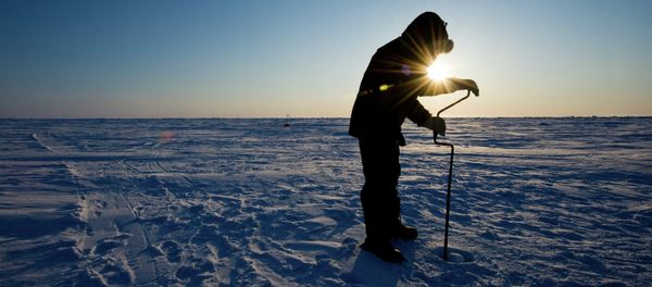 Arctic - Sputnik International