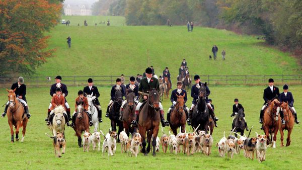 The UK government may abolish a law dating from the medieval era that enables British lords to use private property located within their territories for hunting - Sputnik International
