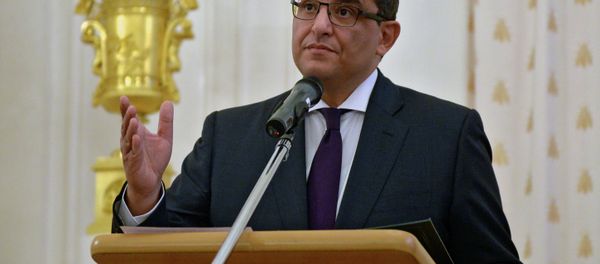 Egyptian Ambassador to Russia Mohammed Abdelsattar Al-Badri - Sputnik International