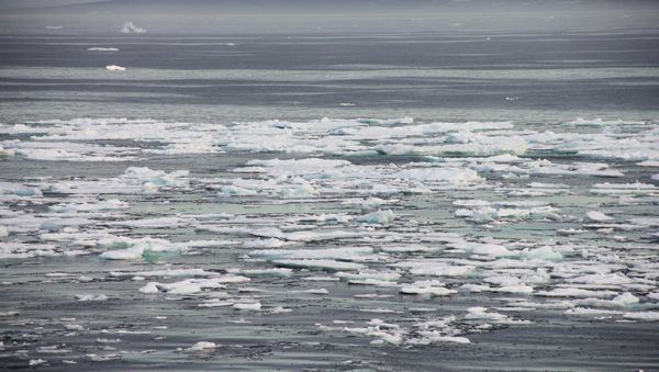 Arctic - Sputnik International