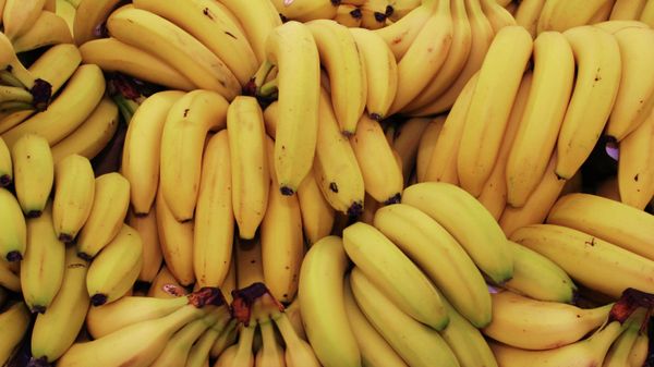 Banana - Sputnik International