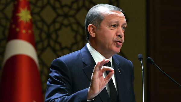In this Thursday, Dec. 25, 2014 photo provided by the Presidential Press Service, Turkey's President Recep Tayyip Erdogan addresses a meeting at his new palace in Ankara, Turkey - Sputnik International