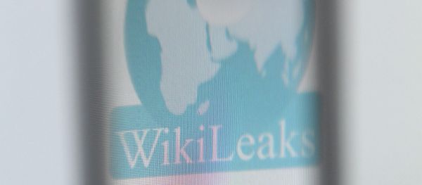 The logo of the website specialised in publishing secret documents WikiLeaks The logo of the website specialised in publishing secret documents WikiLeaks - Sputnik International