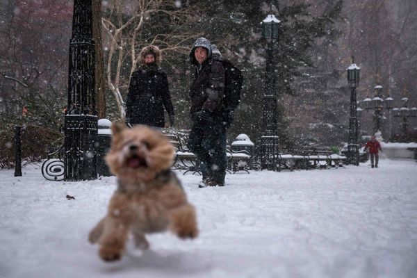Under the Snow Blanket: New York Blizzard in Pictures - Sputnik International