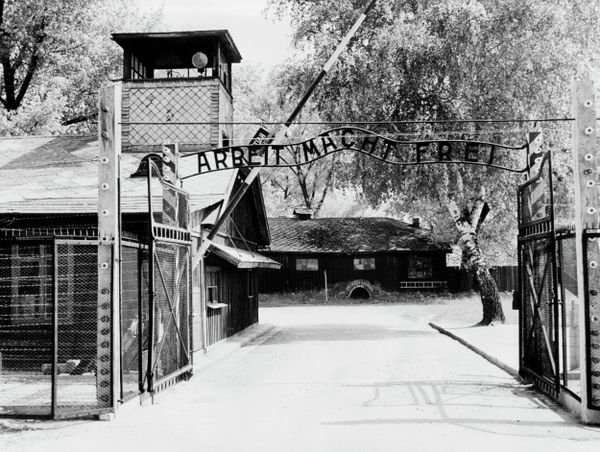 One Should Never Forget the Horrors of WWII: Auschwitz Concentration Camp One Should Never Forget the Horrors of WWII: Auschwitz Concentration Camp - Sputnik International