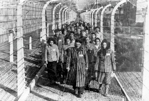 One Should Never Forget the Horrors of WWII: Auschwitz Concentration Camp One Should Never Forget the Horrors of WWII: Auschwitz Concentration Camp - Sputnik International