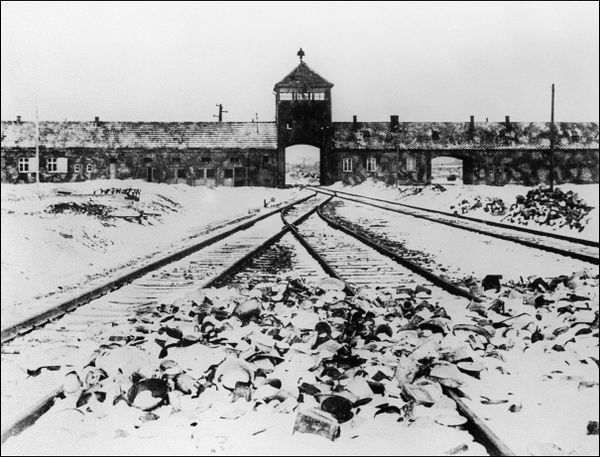 One Should Never Forget the Horrors of WWII: Auschwitz Concentration Camp One Should Never Forget the Horrors of WWII: Auschwitz Concentration Camp - Sputnik International