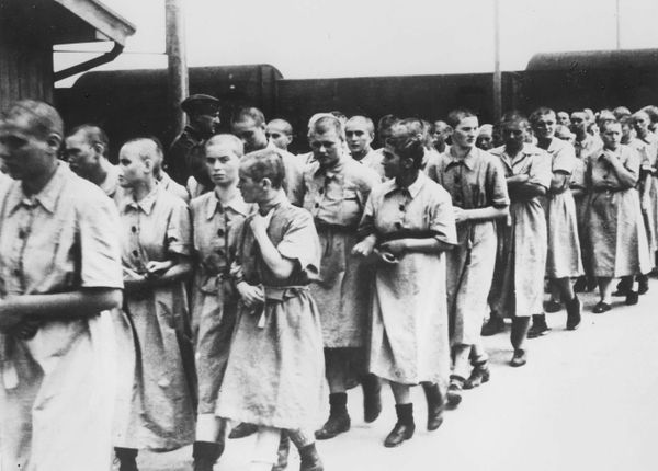 One Should Never Forget the Horrors of WWII: Auschwitz Concentration Camp One Should Never Forget the Horrors of WWII: Auschwitz Concentration Camp - Sputnik International