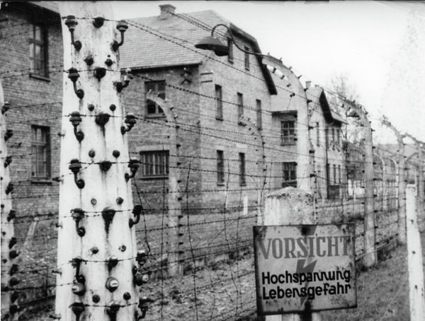 One Should Never Forget the Horrors of WWII: Auschwitz Concentration Camp One Should Never Forget the Horrors of WWII: Auschwitz Concentration Camp - Sputnik International