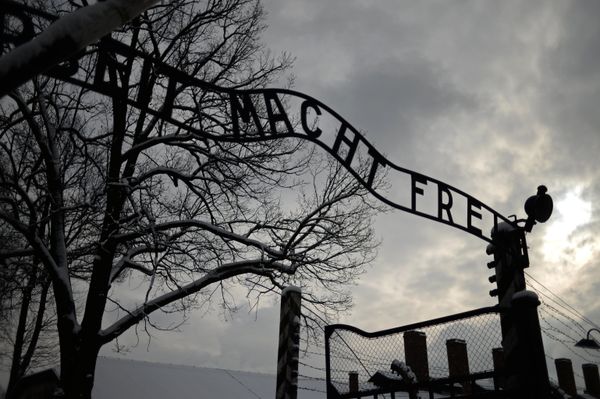 Three in Four Poles Know Soviet Troops Liberated Auschwitz, New Poll Shows - Sputnik International