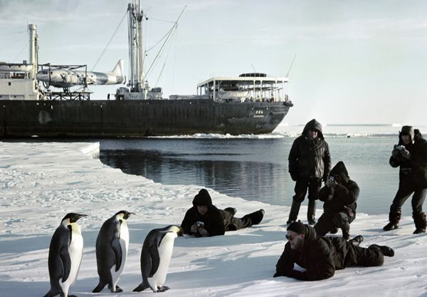 The Kingdom of Ice: Antarctica in Pictures The Kingdom of Ice: Antarctica in Pictures - Sputnik International