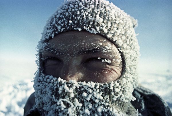The Kingdom of Ice: Antarctica in Pictures The Kingdom of Ice: Antarctica in Pictures - Sputnik International