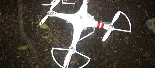 Drone Drone - Sputnik International