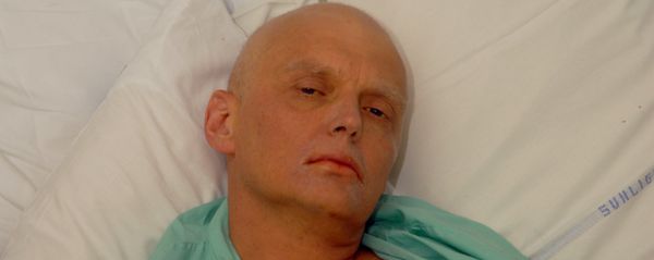 Alexander Litvinenko is pictured at the Intensive Care Unit of University College Hospital in London, England. (File) Alexander Litvinenko is pictured at the Intensive Care Unit of University College Hospital in London, England. (File) - Sputnik International
