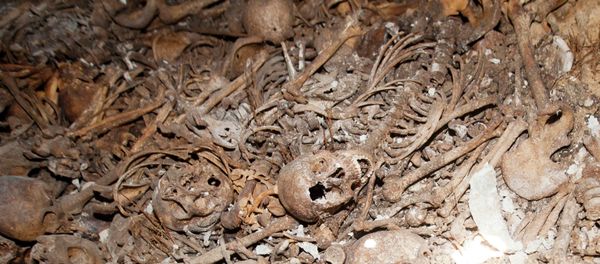 Skeletons Skeletons - Sputnik International