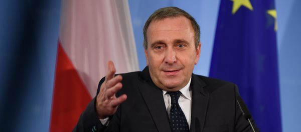 Poland's Foreign Minister Grzegorz Schetyna - Sputnik International
