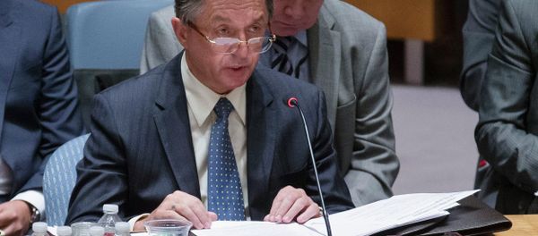 Ukrainian U.N. Ambassador Yuriy Sergeyev speaks during a U.N. Security Council meeting at United Nations headquarters, Friday, July 18, 2014 Ukrainian U.N. Ambassador Yuriy Sergeyev speaks during a U.N. Security Council meeting at United Nations headquarters, Friday, July 18, 2014 - Sputnik International