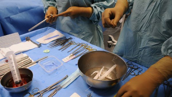 Sex change surgery Sex change surgery - Sputnik International