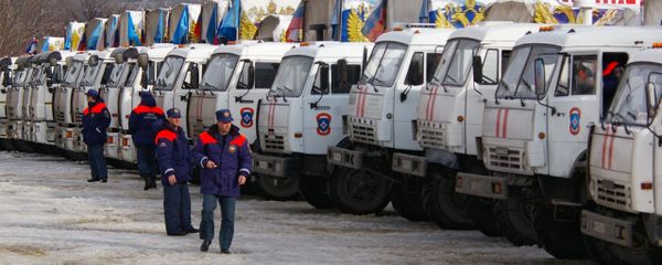 12th humanitarian convoy arrives in Donbas - Sputnik International