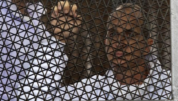 Australian journalist Peter Greste of Al-Jazeera - Sputnik International