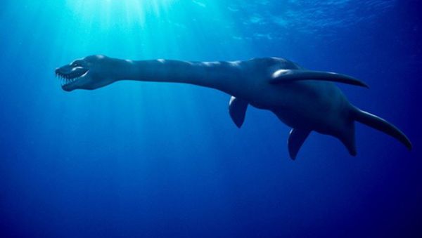 Plesiosaur, artwork. Plesiosaurs were marine reptiles that inhabited the seas throughout the Jurassic and Cretaceous periods - Sputnik International
