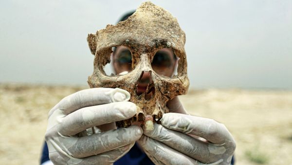 A forensic expert holds up part of a human skull found in a mass grave some 10 kilometers from the Iraqi central shrine city of Najaf. File photo A forensic expert holds up part of a human skull found in a mass grave some 10 kilometers from the Iraqi central shrine city of Najaf. File photo - Sputnik International