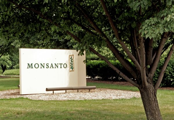 A sign at the Monsanto Co. headquarters located in St. Louis, Missouri.    - Sputnik International