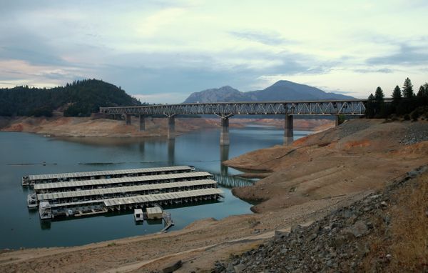 House boats are docked at Lake Shasta's Bay Bridge resort near Redding, California. - Sputnik International