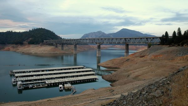 House boats are docked at Lake Shasta's Bay Bridge resort near Redding, California. - Sputnik International
