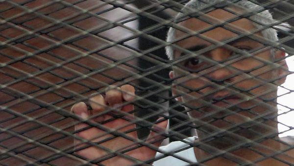 Mohamed Fahmy - Sputnik International