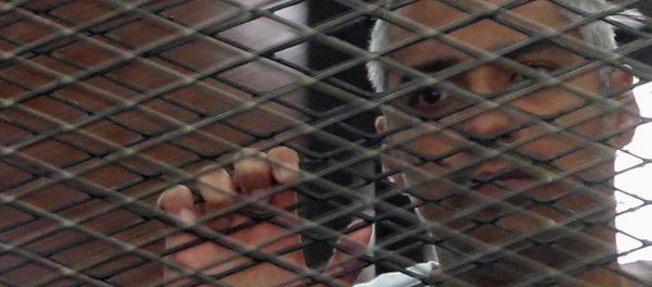 Mohamed Fahmy - Sputnik International