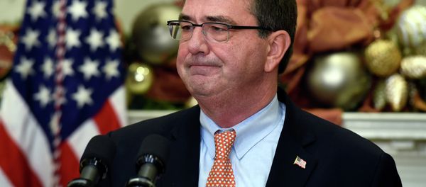 Defense Secretary Nominee Ashton Carter Defense Secretary Nominee Ashton Carter - Sputnik International