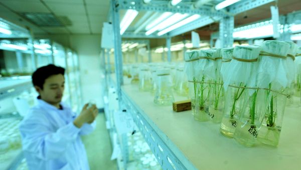 A Chinese researcher - Sputnik International