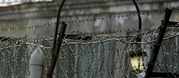 A barbed wire A barbed wire - Sputnik International