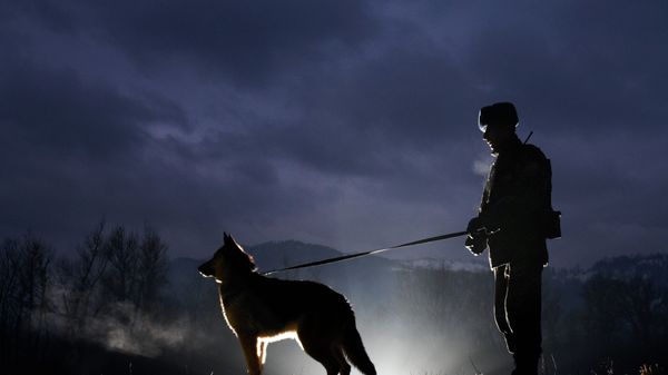 A Ukrainian border guard and dog patrol the Ukraine-Romanian border in the Zakarpattia region, some 200kms from the western city of Uzhgorod - Sputnik International