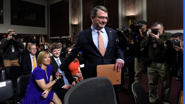 Ashton Carter - Sputnik International