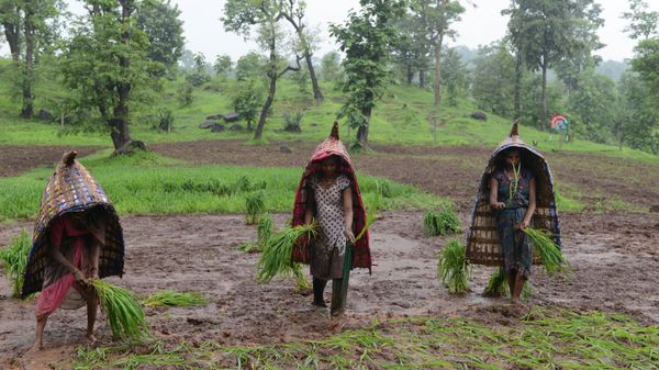 Indian farmers - Sputnik International