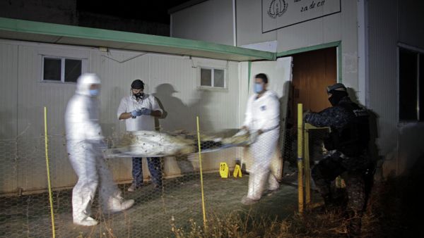 Forensic workers - Sputnik International