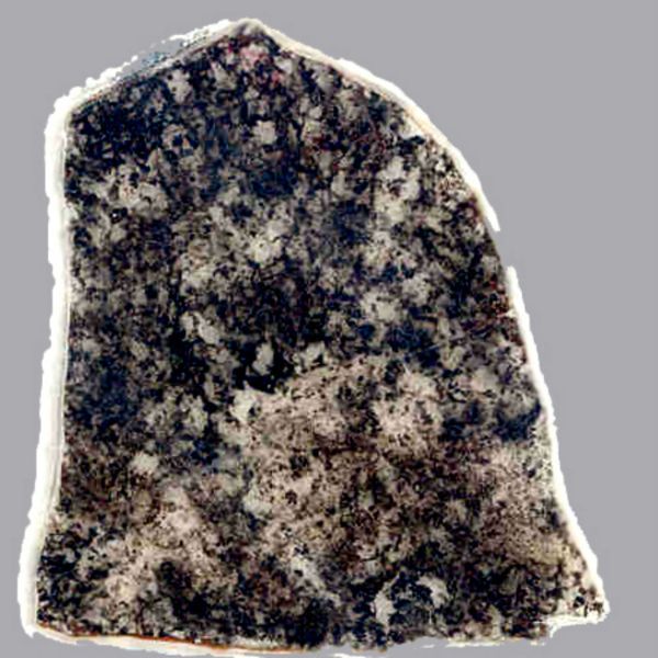 A section of a 1.8 billion-year-old fossil-bearing rock - Sputnik International