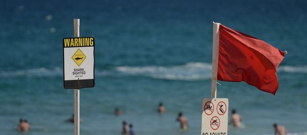 Swimmers are seen in the water despite shark warning signs posted on the beach in the northern New South Wales city of Newcastle on January 17, 2015 Swimmers are seen in the water despite shark warning signs posted on the beach in the northern New South Wales city of Newcastle on January 17, 2015 - Sputnik International