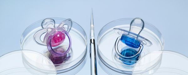 The husband's sperm was used to fertilize a donor egg, which was then implanted in her uterus after three years of fertility treatment. Above: In-vitro fertilization - Sputnik International