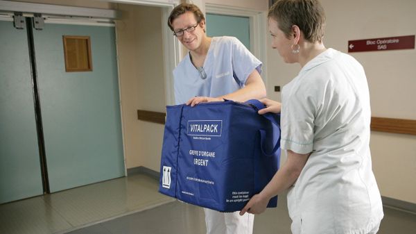 Organ graft, delivery of the organ to the surgeon at the entrance of the operating room for a cardiac transplant - Sputnik International