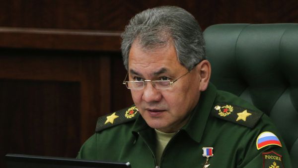 Russia's Defense Minister Sergei Shoigu - Sputnik International