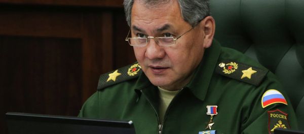 Russia's Defense Minister Sergei Shoigu - Sputnik International